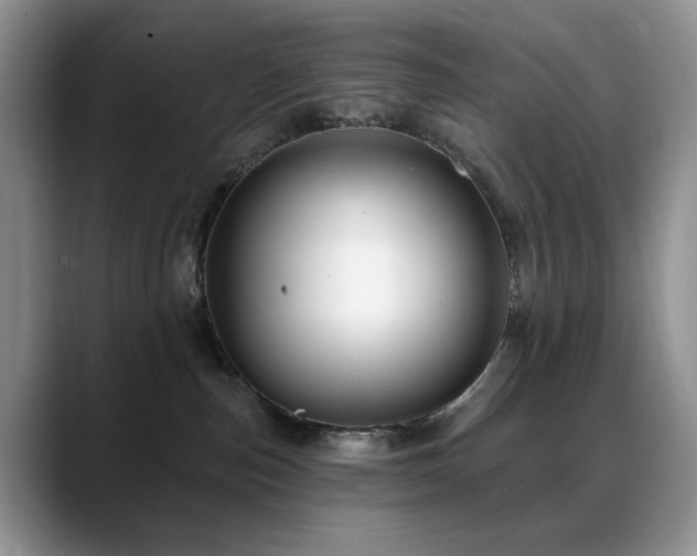 X0000088890187200706081254