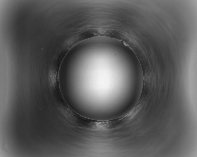 X0000088890188200706081254