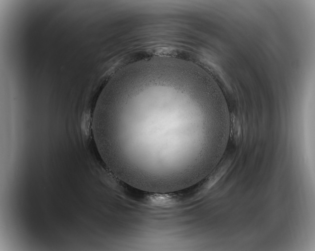 X0000088890189200706081254