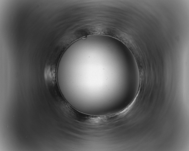 X0000088890190200706081254