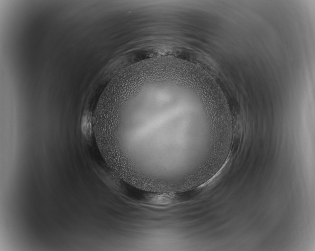 X0000088890191200706081254