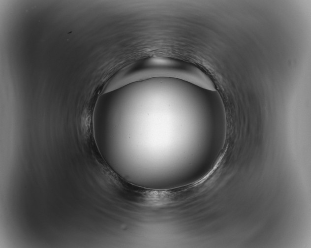 X0000088890192200706081254