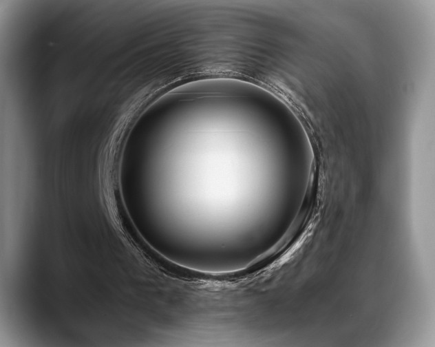 X0000088890193200706081254