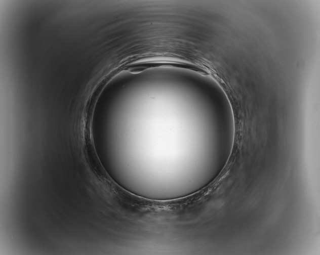 X0000088890194200706081254