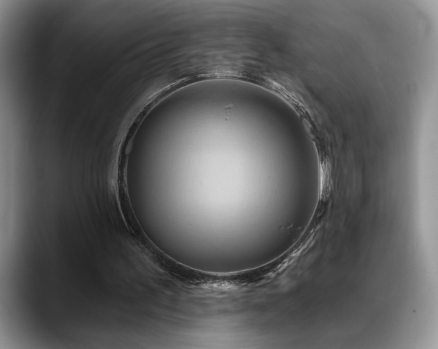 X0000088890195200706081254