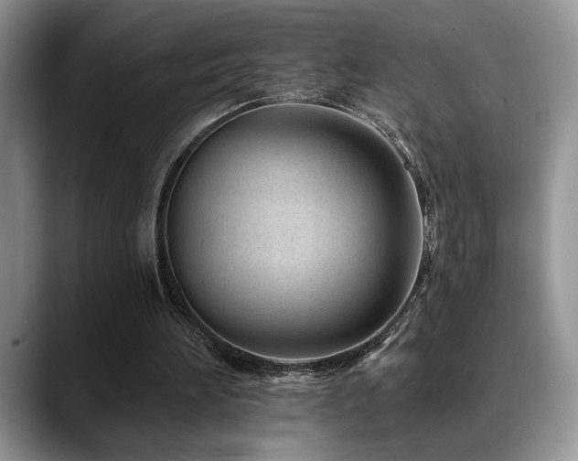 X0000088890196200706081254