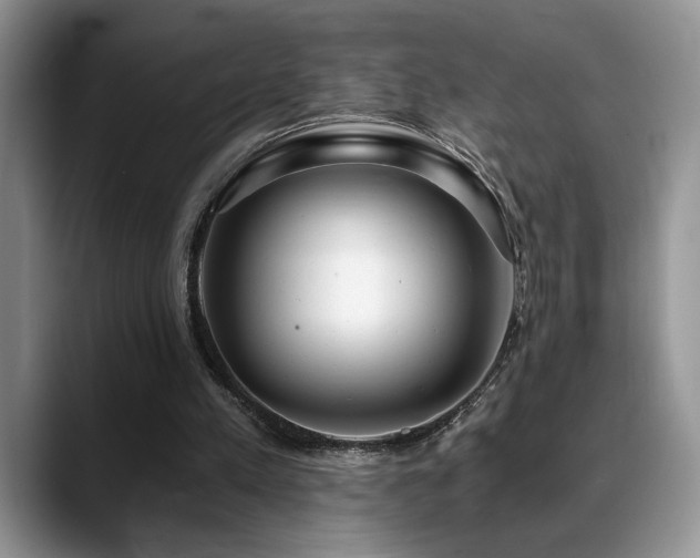 X0000088890197200706081254