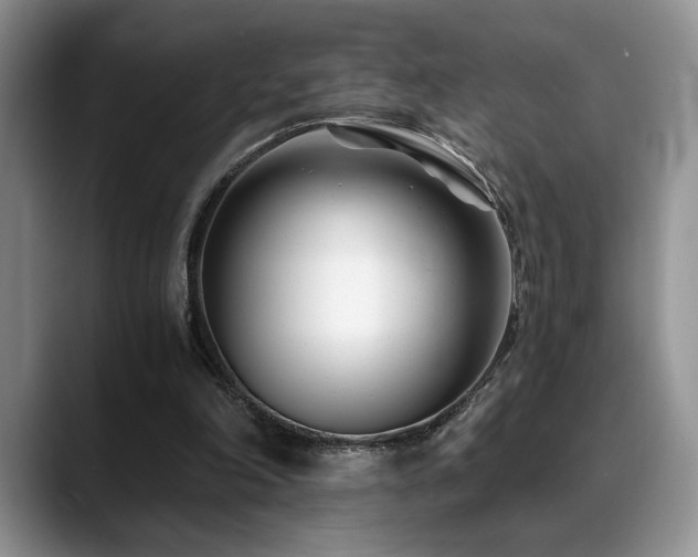 X0000088890198200706081254