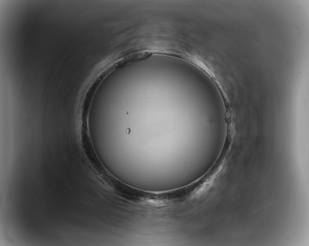 X0000088890199200706081254