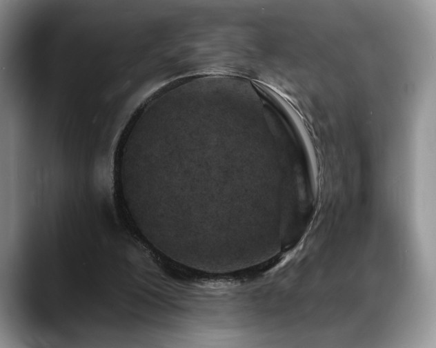 X0000088890200200706081254