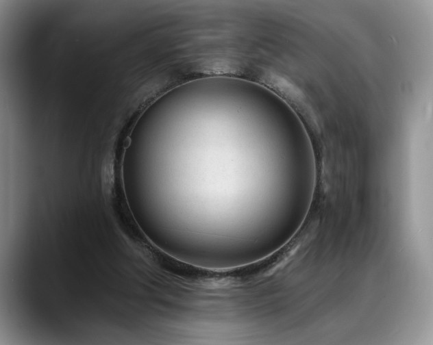 X0000088890202200706081254