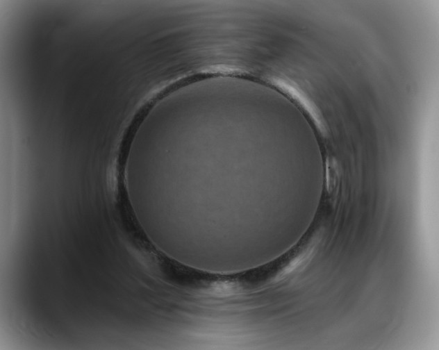 X0000088890204200706081254