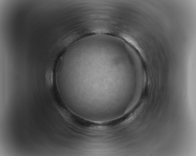 X0000088890205200706081254