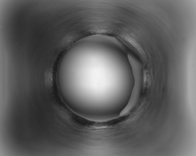 X0000088890207200706081254