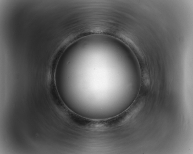 X0000088890208200706081254