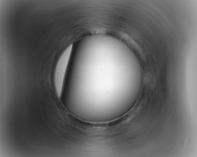 X0000088890209200706081254