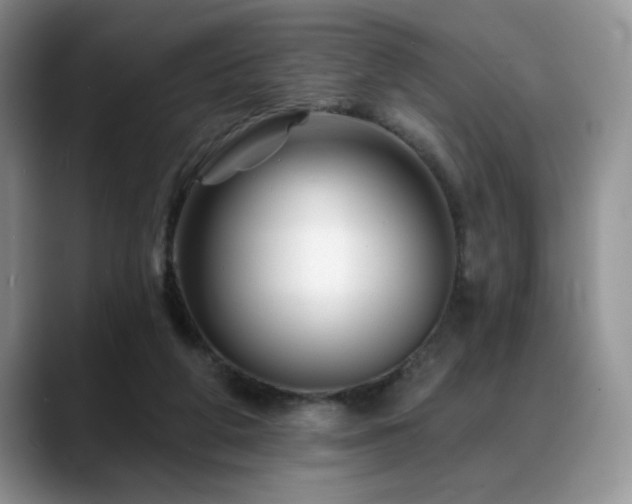 X0000088890210200706081254