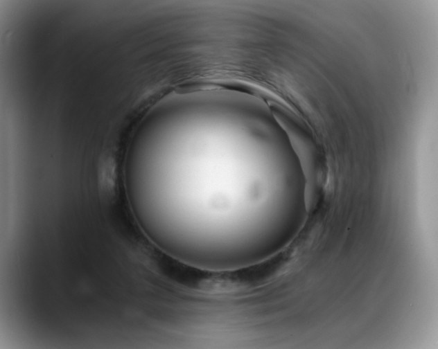 X0000088890211200706081254