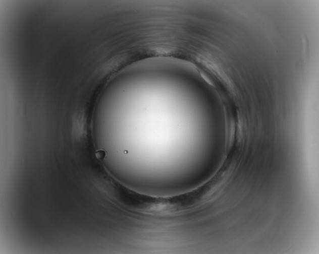 X0000088890212200706081254