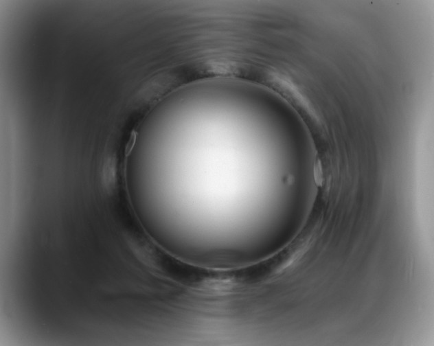 X0000088890213200706081254