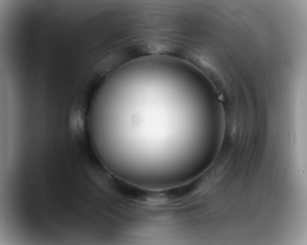 X0000088890214200706081254