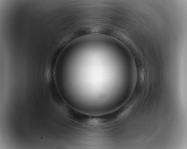 X0000088890216200706081254