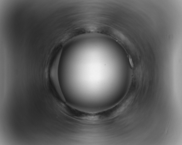 X0000088890217200706081254