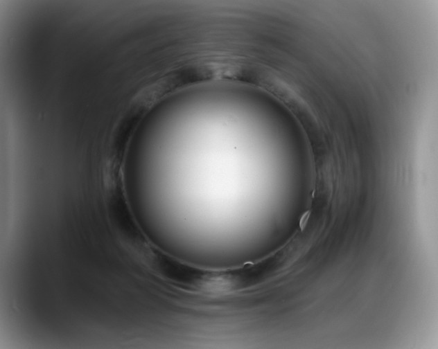 X0000088890218200706081254