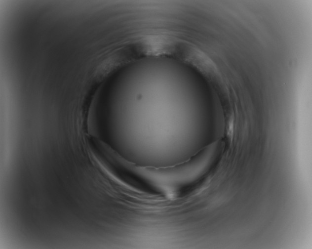 X0000088890219200706081254