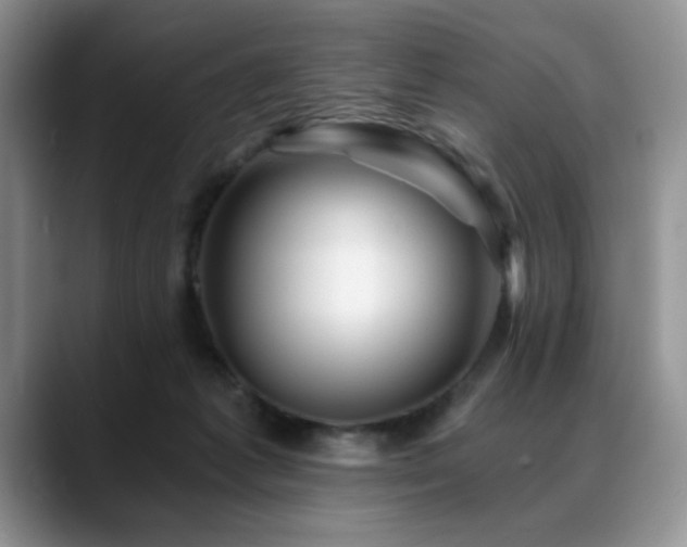 X0000088890221200706081254