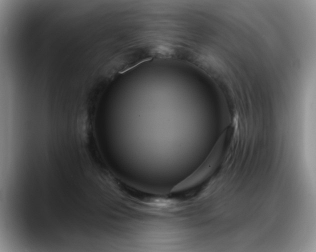 X0000088890223200706081253