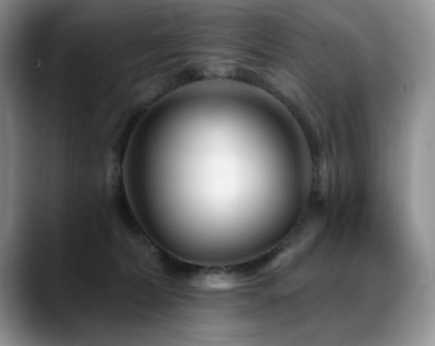 X0000088890228200706081253