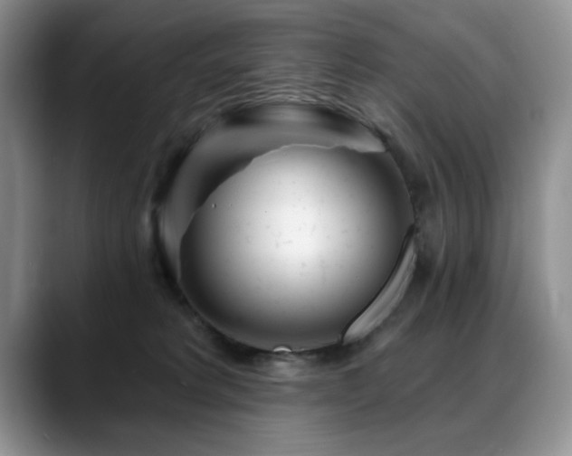 X0000088890229200706081253