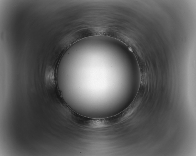 X0000088890238200706081253