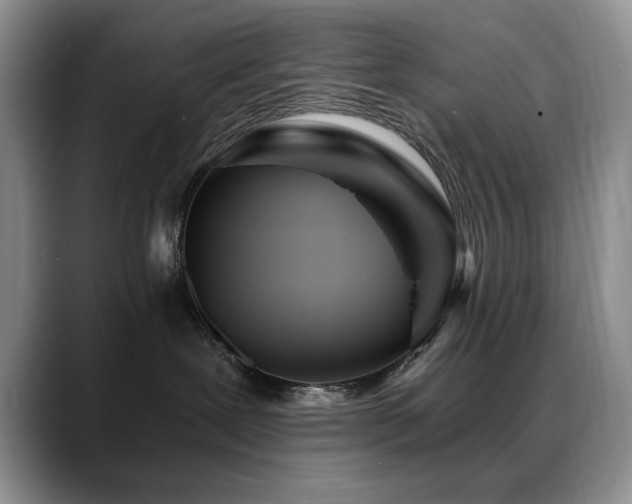 X0000088890239200706081253