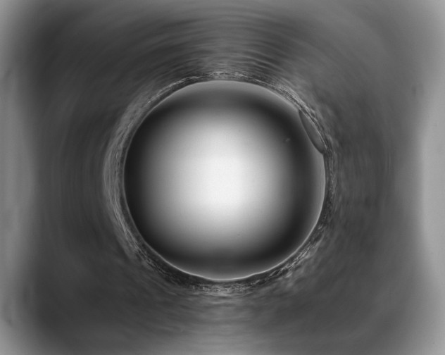 X0000088890241200706081253