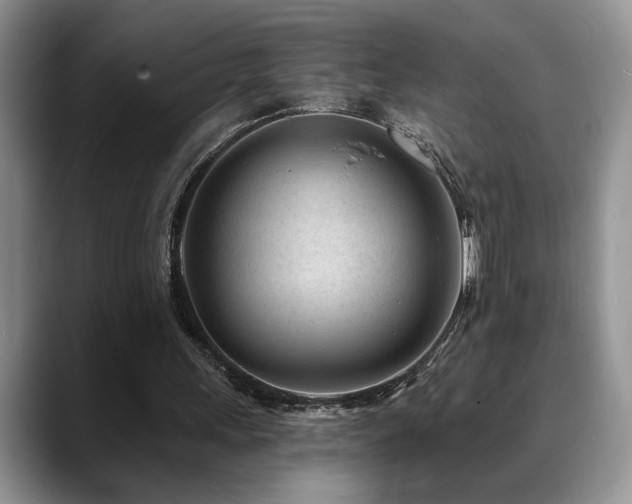 X0000088890243200706081253