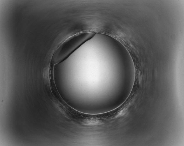 X0000088890244200706081253