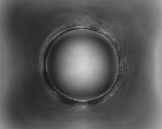 X0000088890247200706081253