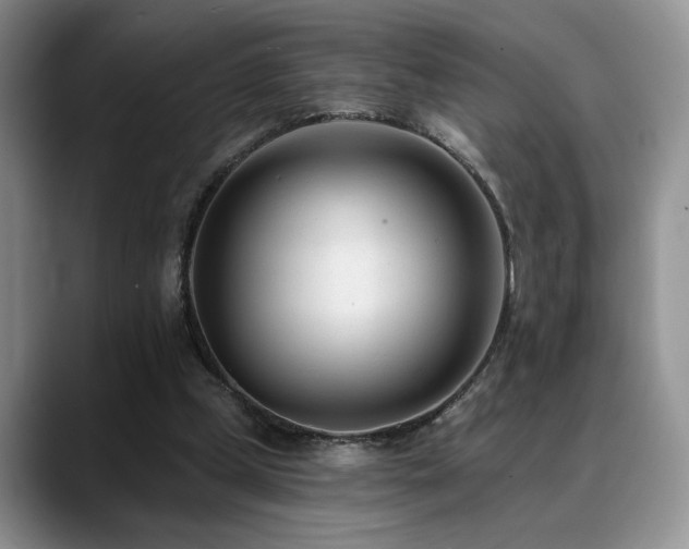 X0000088890249200706081253