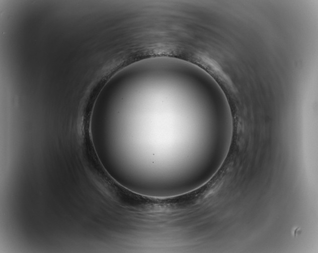 X0000088890250200706081253