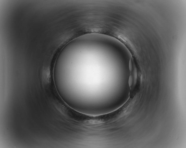 X0000088890251200706081253