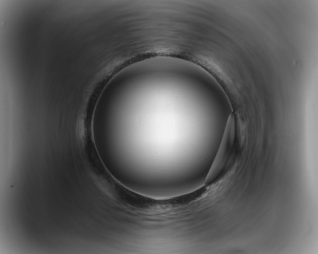 X0000088890252200706081253