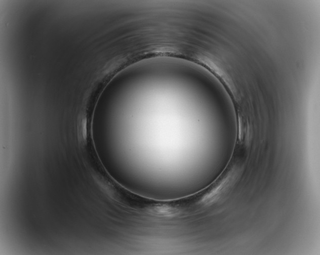 X0000088890253200706081253