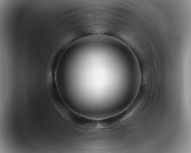 X0000088890254200706081253