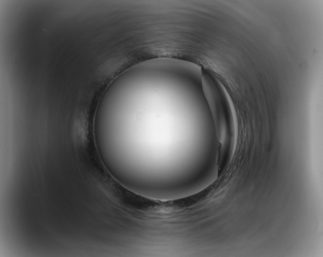 X0000088890255200706081253