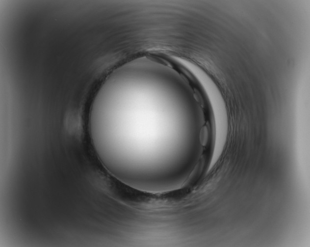 X0000088890256200706081253