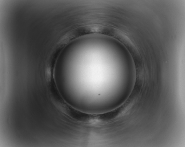 X0000088890262200706081253