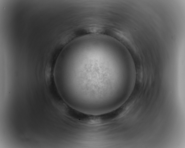 X0000088890263200706081253