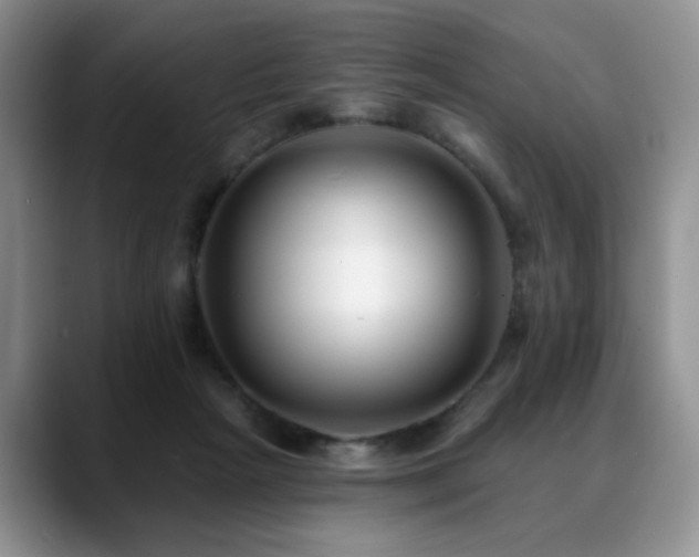 X0000088890265200706081253